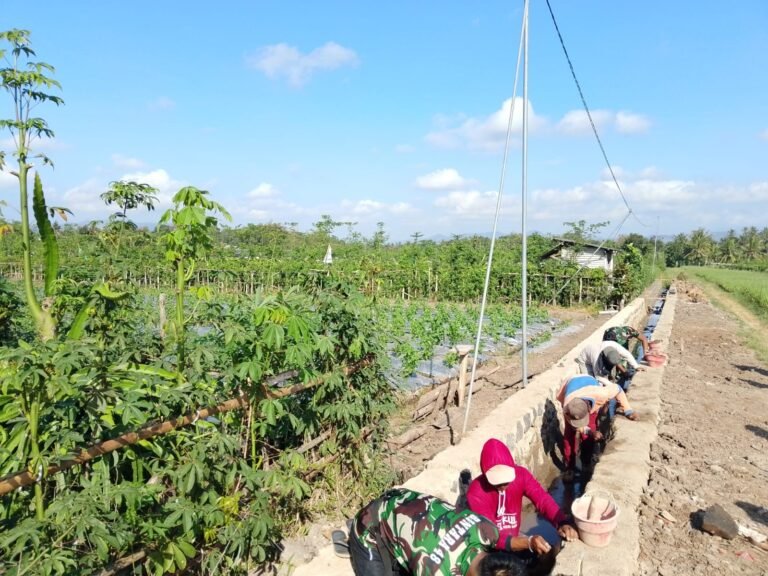 TMMD 125 Banyuwangi: Prajurit dan Rakyat Bersatu Kejar Target Pengairan Sawah