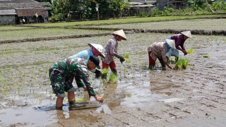 Dusun Krajan 1 B, Desa Lebakharjo, Kecamatan Ampelgading, Kabupaten Malang (10/2025), menjadi saksi kebersamaan antara anggota Satgas TMMD ke-126 dan warga