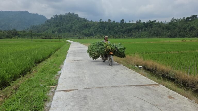 Salah satu hasil kerja keras Satgas TMMD bersama warga adalah pembangunan rabat beton di jalan usaha tani Dusun Sukomaju, Desa Lebakharjo, Kecamatan Ampelgading.