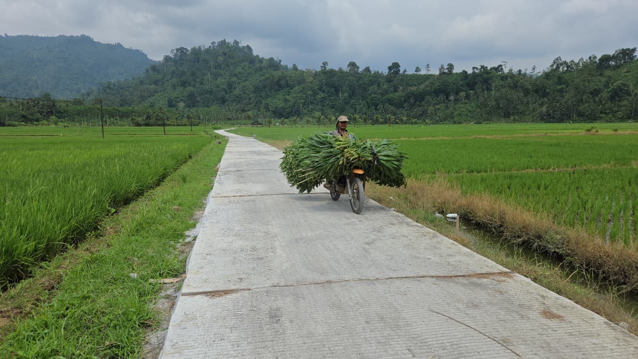 Salah satu hasil kerja keras Satgas TMMD bersama warga adalah pembangunan rabat beton di jalan usaha tani Dusun Sukomaju, Desa Lebakharjo, Kecamatan Ampelgading.
