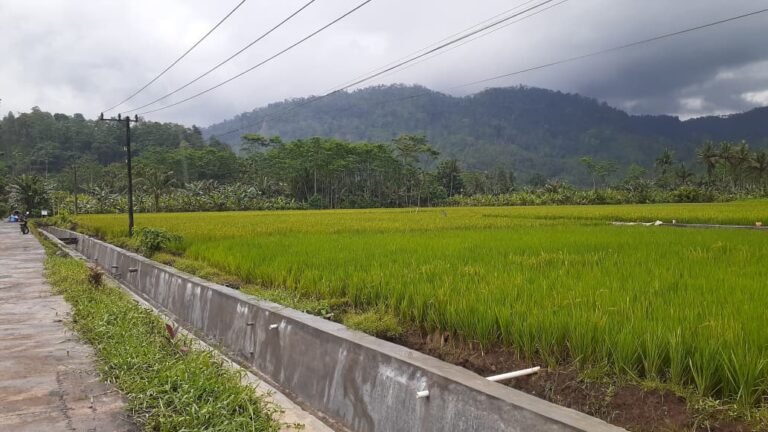 Program TNI Manunggal Membangun Desa (TMMD) ke-126 Kodim 0818/Malang-Batu kembali menunjukkan hasil nyata dalam meningkatkan kesejahteraan masyarakat pedesaan