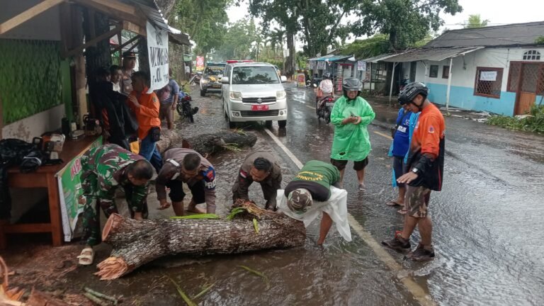 Angin Kencang Tumbangkan Pohon fi Desa Gambiran, Babinsa Desa Gambiran Koramil 0825/06 Gambiran bertindak Cepat Evakuasi Jalur.