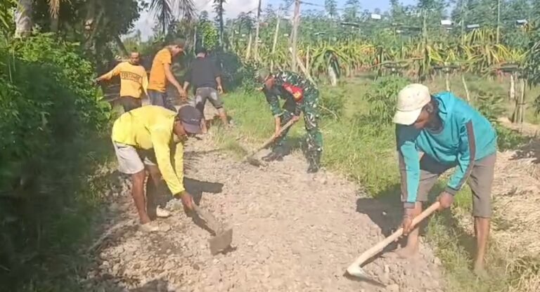 Bukti Nyata Kedekatan Babinsa Dengan Warganya dengan membantu memperbaiki Akses Jalan menuju Perkebunan Buah Naga