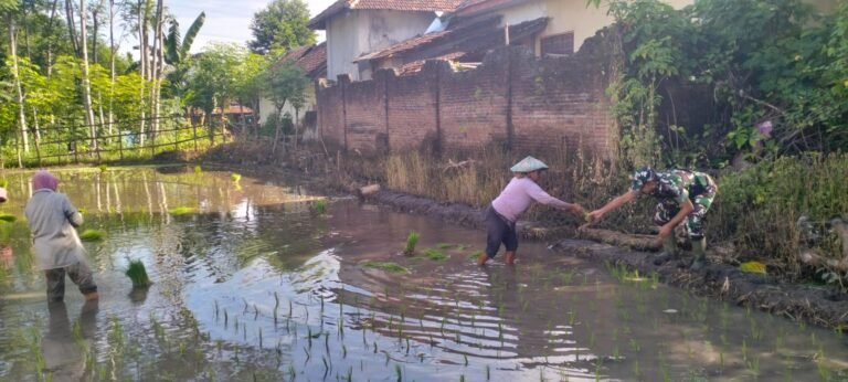 Satgas TMMD Ke-128 Kodim 0820 Melakukan Pendampingan Kepada Kelompok Petani