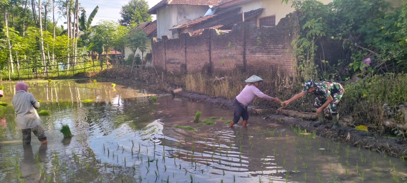 Satgas TMMD Ke-128 Kodim 0820 Melakukan Pendampingan Kepada Kelompok Petani